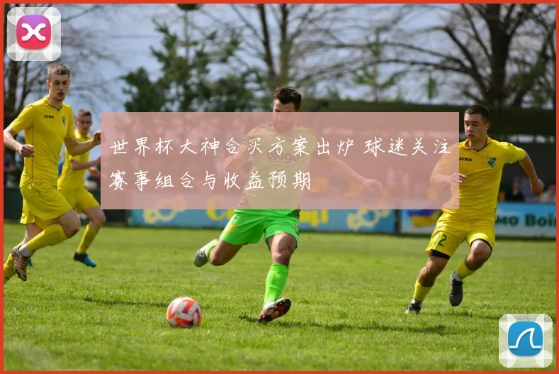 世界杯大神合买方案出炉 球迷关注赛事组合与收益预期