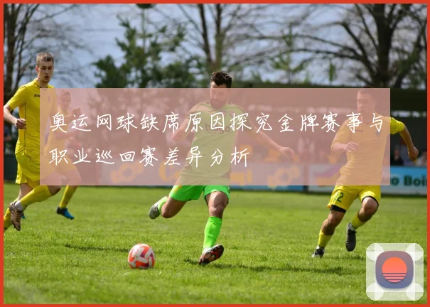 奥运网球缺席原因探究金牌赛事与职业巡回赛差异分析