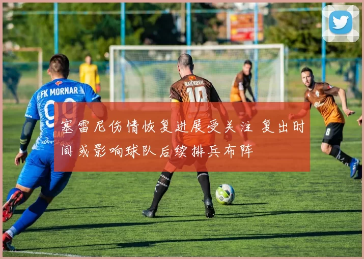 塞雷尼伤情恢复进展受关注 复出时间或影响球队后续排兵布阵