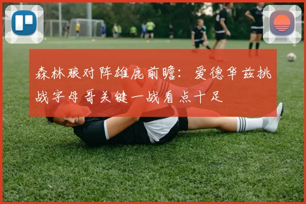 森林狼对阵雄鹿前瞻：爱德华兹挑战字母哥关键一战看点十足