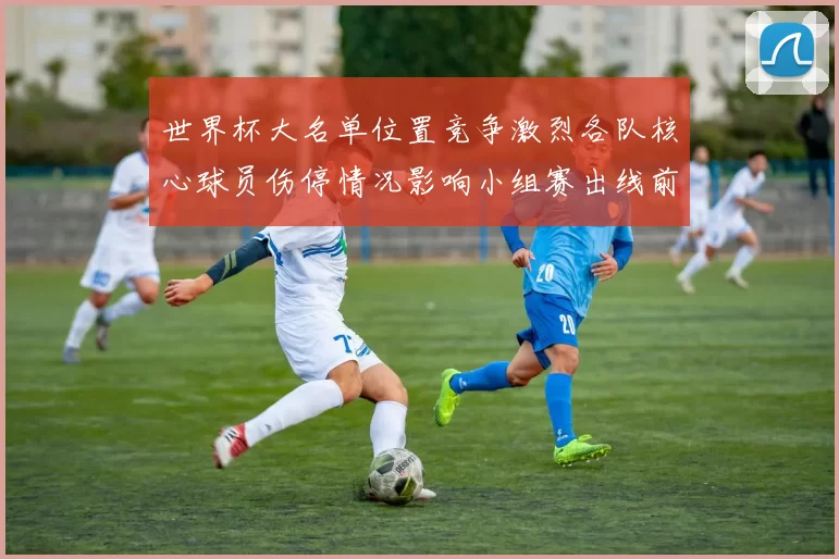 世界杯大名单位置竞争激烈各队核心球员伤停情况影响小组赛出线前景