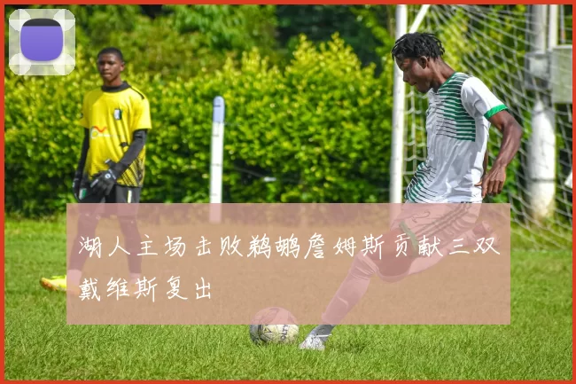 湖人主场击败鹈鹕詹姆斯贡献三双戴维斯复出