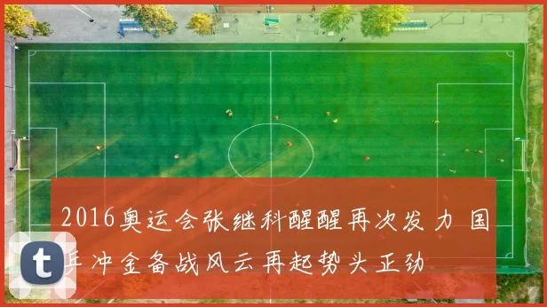 2016奥运会张继科醒醒再次发力 国乒冲金备战风云再起势头正劲